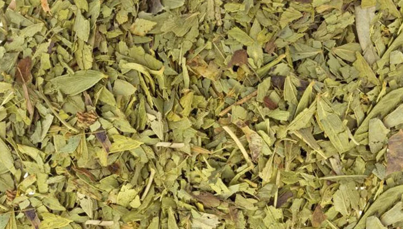 Senna Leaves